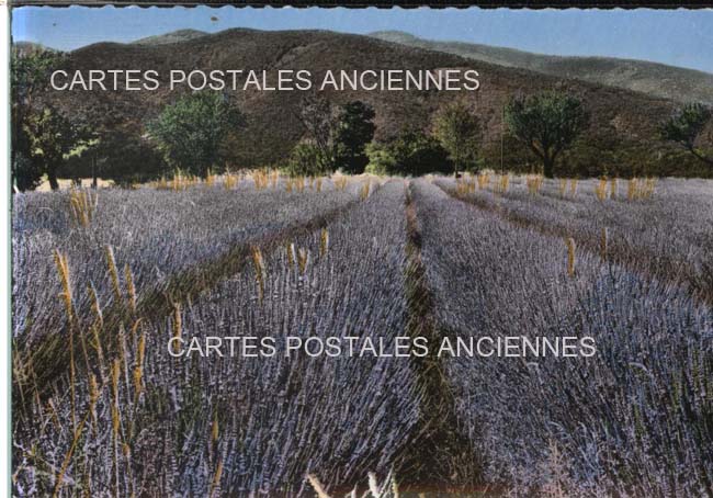 Cartes postales anciennes > CARTES POSTALES > carte postale ancienne > cartes-postales-ancienne.com Paysage