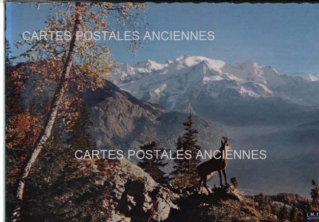 Cartes postales anciennes > CARTES POSTALES > carte postale ancienne > cartes-postales-ancienne.com Animaux Divers