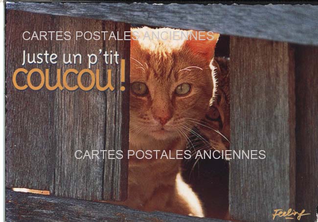 Cartes postales anciennes > CARTES POSTALES > carte postale ancienne > cartes-postales-ancienne.com
