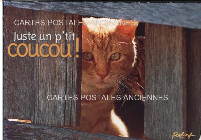 Cartes postales anciennes > CARTES POSTALES > carte postale ancienne > cartes-postales-ancienne.com