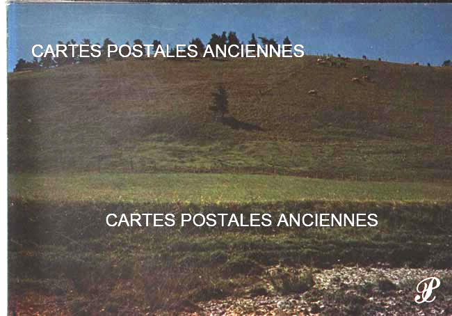 Cartes postales anciennes > CARTES POSTALES > carte postale ancienne > cartes-postales-ancienne.com Paysage Provencal