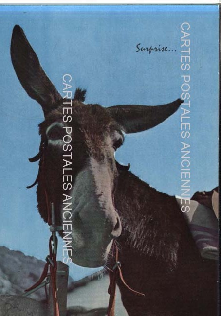 Cartes postales anciennes > CARTES POSTALES > carte postale ancienne > cartes-postales-ancienne.com