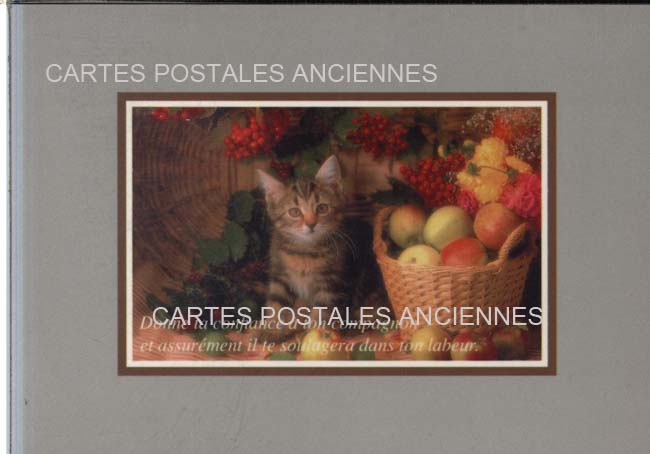 Cartes postales anciennes > CARTES POSTALES > carte postale ancienne > cartes-postales-ancienne.com Fruits legumes