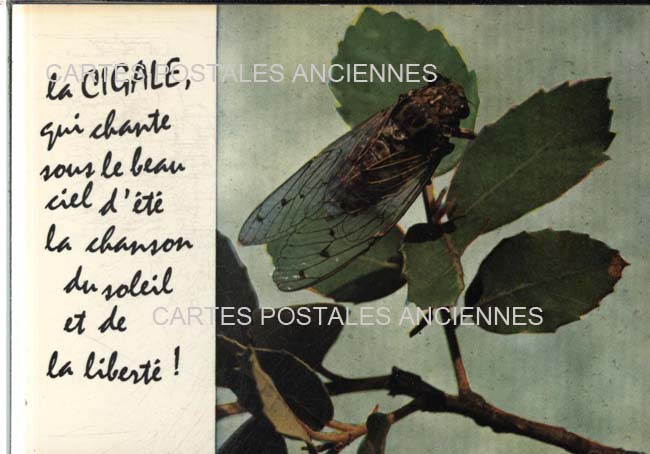 Cartes postales anciennes > CARTES POSTALES > carte postale ancienne > cartes-postales-ancienne.com Paysage