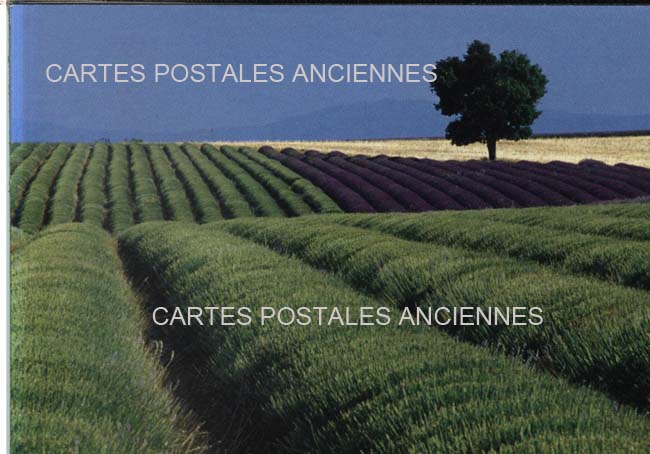 Cartes postales anciennes > CARTES POSTALES > carte postale ancienne > cartes-postales-ancienne.com