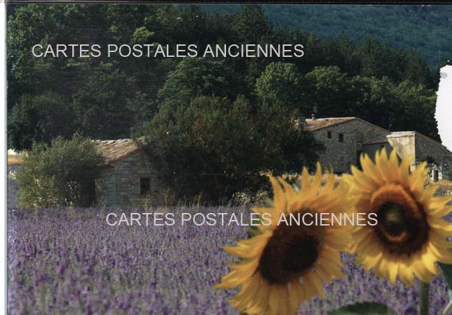 Cartes postales anciennes > CARTES POSTALES > carte postale ancienne > cartes-postales-ancienne.com Paysage Provencal