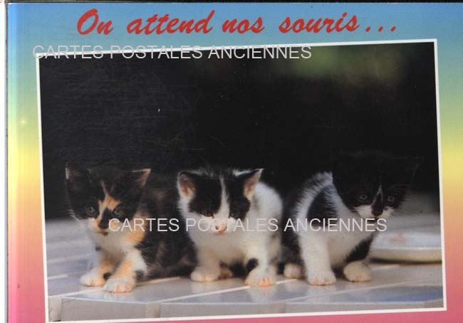Cartes postales anciennes > CARTES POSTALES > carte postale ancienne > cartes-postales-ancienne.com