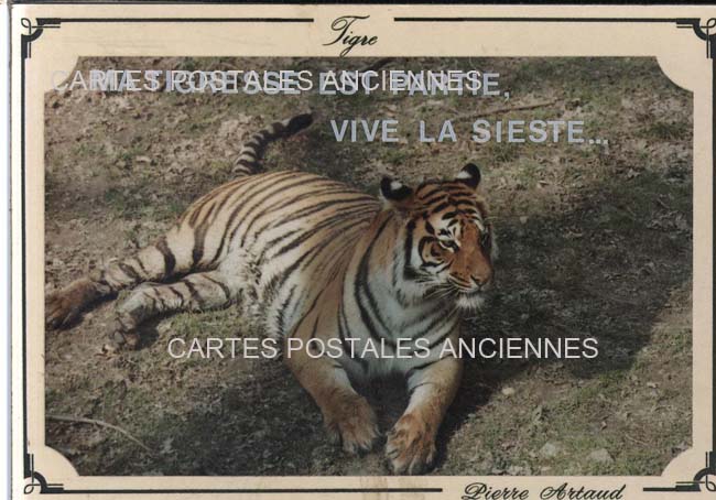 Cartes postales anciennes > CARTES POSTALES > carte postale ancienne > cartes-postales-ancienne.com
