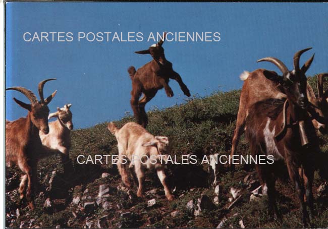 Cartes postales anciennes > CARTES POSTALES > carte postale ancienne > cartes-postales-ancienne.com