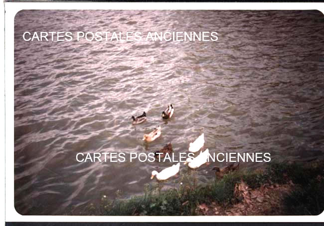 Cartes postales anciennes > CARTES POSTALES > carte postale ancienne > cartes-postales-ancienne.com