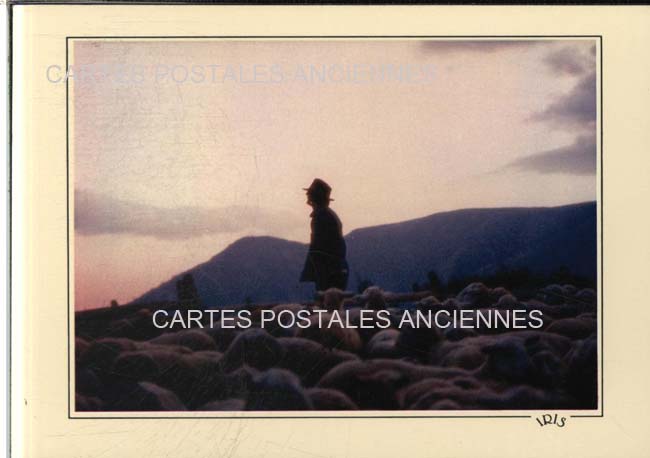 Cartes postales anciennes > CARTES POSTALES > carte postale ancienne > cartes-postales-ancienne.com Paysage Provencal