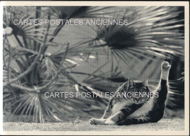 Cartes postales anciennes > CARTES POSTALES > carte postale ancienne > cartes-postales-ancienne.com