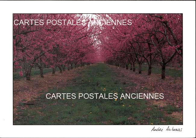 Cartes postales anciennes > CARTES POSTALES > carte postale ancienne > cartes-postales-ancienne.com