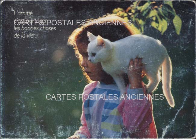 Cartes postales anciennes > CARTES POSTALES > carte postale ancienne > cartes-postales-ancienne.com Animaux Divers