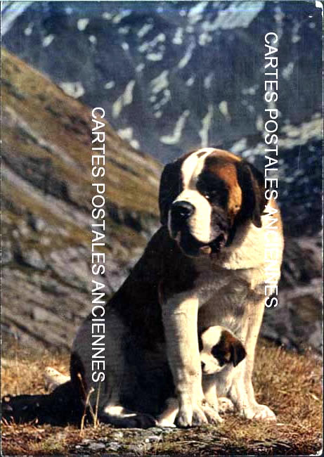 Cartes postales anciennes > CARTES POSTALES > carte postale ancienne > cartes-postales-ancienne.com