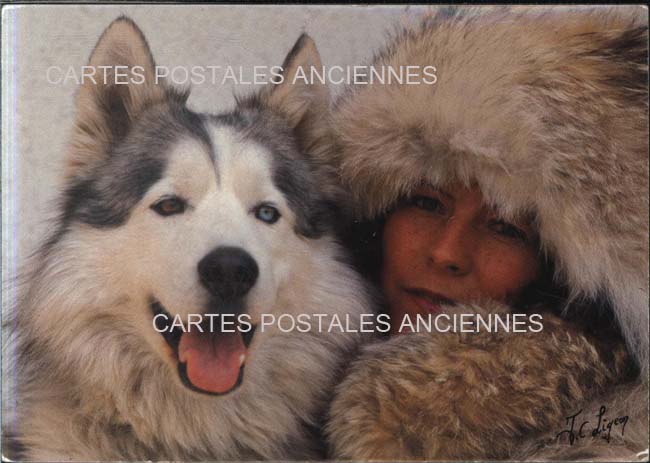 Cartes postales anciennes > CARTES POSTALES > carte postale ancienne > cartes-postales-ancienne.com