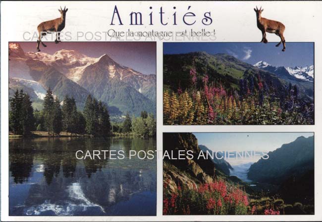 Cartes postales anciennes > CARTES POSTALES > carte postale ancienne > cartes-postales-ancienne.com Paysage