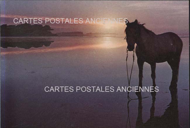 Cartes postales anciennes > CARTES POSTALES > carte postale ancienne > cartes-postales-ancienne.com Paysage Mer