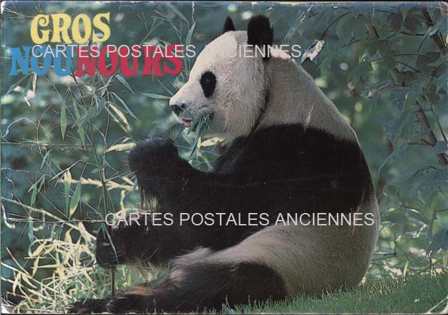 Cartes postales anciennes > CARTES POSTALES > carte postale ancienne > cartes-postales-ancienne.com