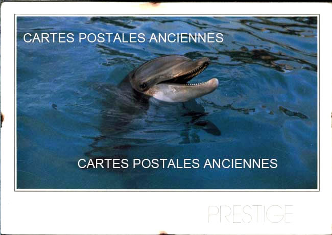 Cartes postales anciennes > CARTES POSTALES > carte postale ancienne > cartes-postales-ancienne.com Animaux Poissons
