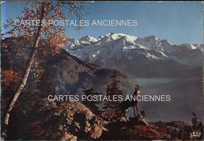 Cartes postales anciennes > CARTES POSTALES > carte postale ancienne > cartes-postales-ancienne.com
