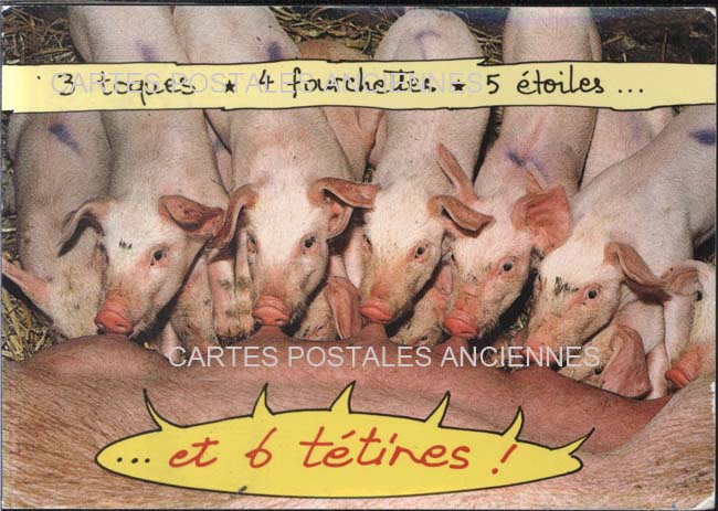 Cartes postales anciennes > CARTES POSTALES > carte postale ancienne > cartes-postales-ancienne.com Animaux Humour