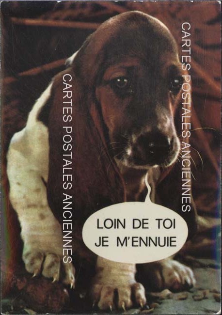 Cartes postales anciennes > CARTES POSTALES > carte postale ancienne > cartes-postales-ancienne.com Animaux Humour