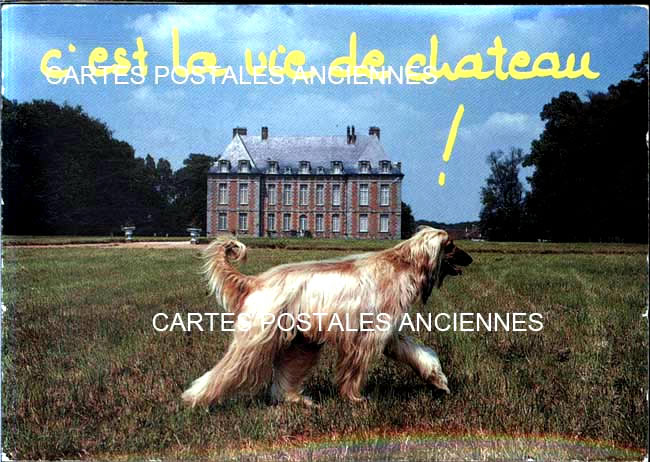 Cartes postales anciennes > CARTES POSTALES > carte postale ancienne > cartes-postales-ancienne.com
