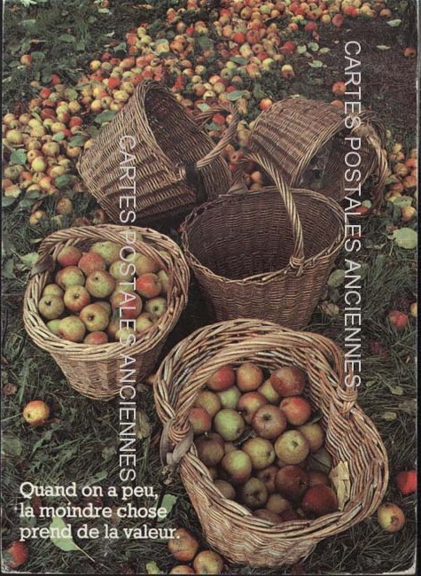Fruits and vegetables