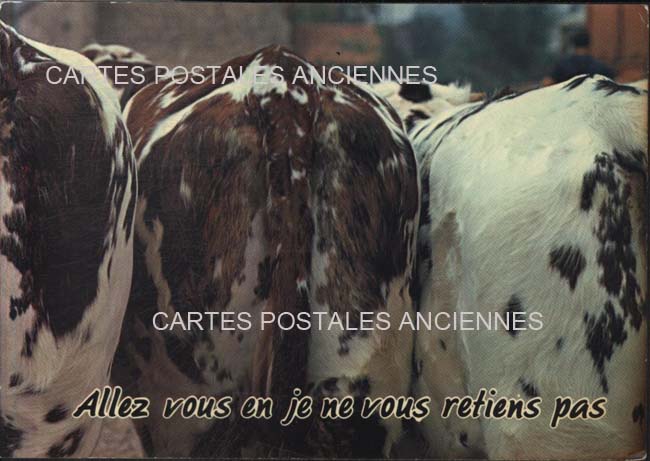 Cartes postales anciennes > CARTES POSTALES > carte postale ancienne > cartes-postales-ancienne.com