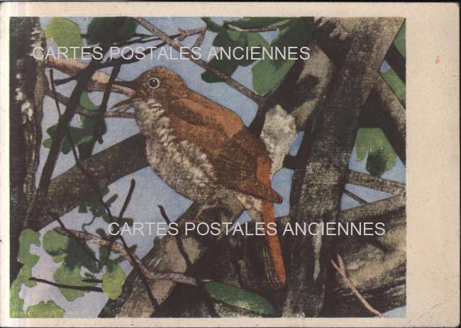 Cartes postales anciennes > CARTES POSTALES > carte postale ancienne > cartes-postales-ancienne.com