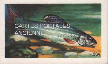 Cartes postales anciennes > CARTES POSTALES > carte postale ancienne > cartes-postales-ancienne.com Cartes postales anciennes publicitaire Societe