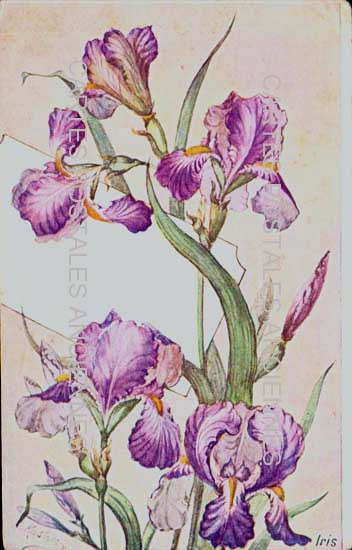Cartes postales anciennes > CARTES POSTALES > carte postale ancienne > cartes-postales-ancienne.com Fleurs