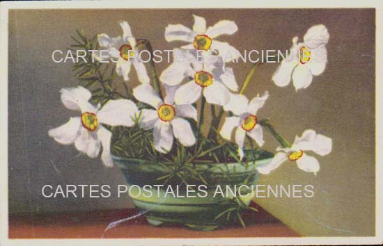 Cartes postales anciennes > CARTES POSTALES > carte postale ancienne > cartes-postales-ancienne.com Fleurs