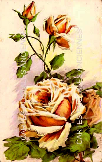 Cartes postales anciennes > CARTES POSTALES > carte postale ancienne > cartes-postales-ancienne.com Fleurs