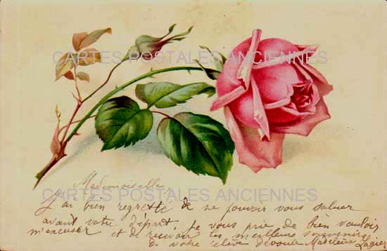 Cartes postales anciennes > CARTES POSTALES > carte postale ancienne > cartes-postales-ancienne.com Fleurs