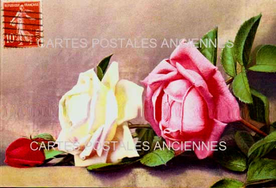 Cartes postales anciennes > CARTES POSTALES > carte postale ancienne > cartes-postales-ancienne.com Fleurs