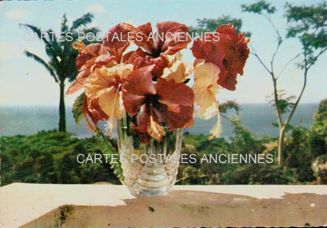 Cartes postales anciennes > CARTES POSTALES > carte postale ancienne > cartes-postales-ancienne.com Fleurs