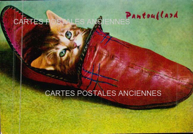 Cartes postales anciennes > CARTES POSTALES > carte postale ancienne > cartes-postales-ancienne.com Animaux Fantaisie