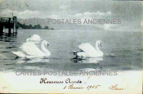 Cartes postales anciennes > CARTES POSTALES > carte postale ancienne > cartes-postales-ancienne.com Animaux Canard cygne autruche cigogne