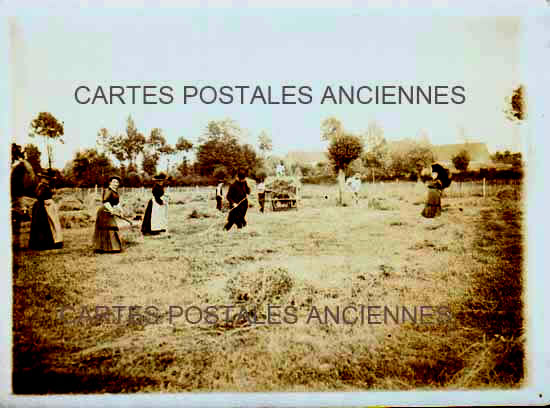 Cartes postales anciennes > CARTES POSTALES > carte postale ancienne > cartes-postales-ancienne.com Diverses petites photos