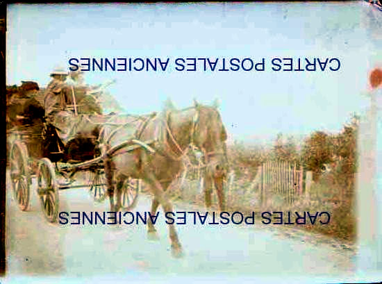Various small photos