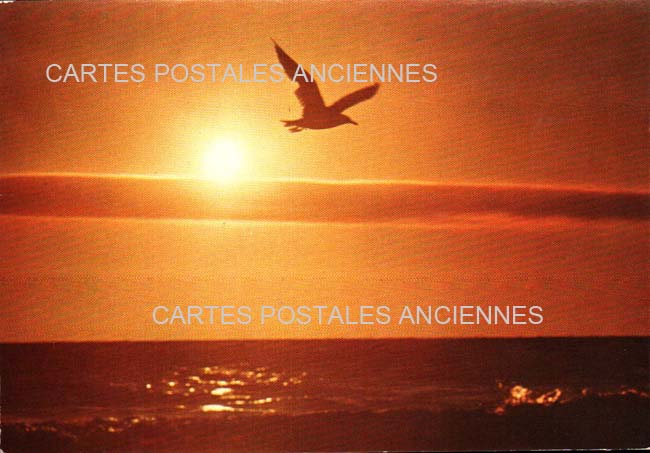 Cartes postales anciennes > CARTES POSTALES > carte postale ancienne > cartes-postales-ancienne.com Paysage Mer