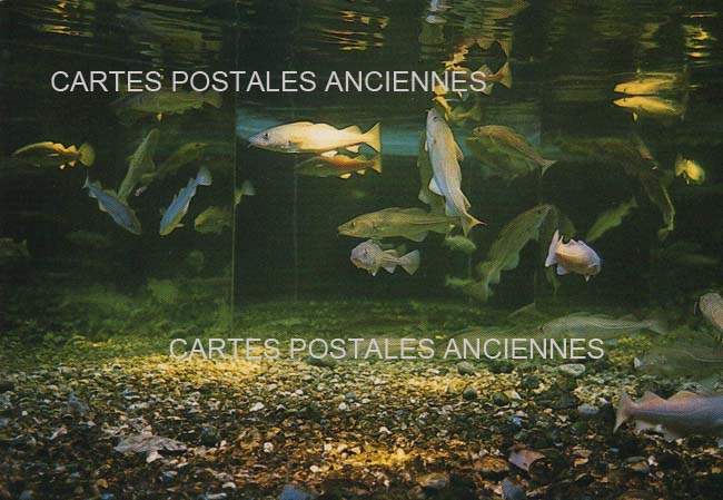 Cartes postales anciennes > CARTES POSTALES > carte postale ancienne > cartes-postales-ancienne.com Paysage Mer