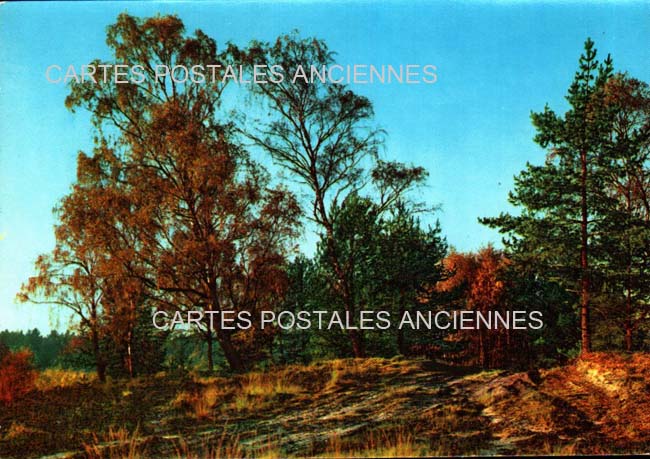 Cartes postales anciennes > CARTES POSTALES > carte postale ancienne > cartes-postales-ancienne.com Paysage