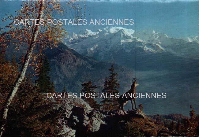 Cartes postales anciennes > CARTES POSTALES > carte postale ancienne > cartes-postales-ancienne.com Paysage Campagne