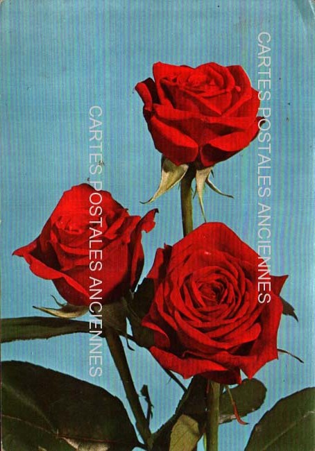 Cartes postales anciennes > CARTES POSTALES > carte postale ancienne > cartes-postales-ancienne.com Fleurs