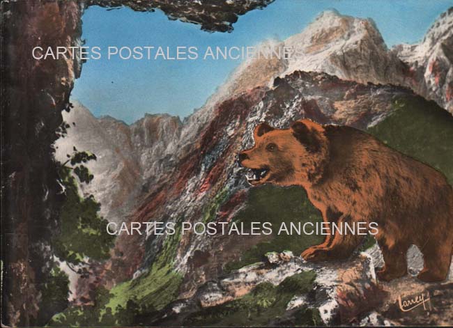 Cartes postales anciennes > CARTES POSTALES > carte postale ancienne > cartes-postales-ancienne.com Animaux Sauvages