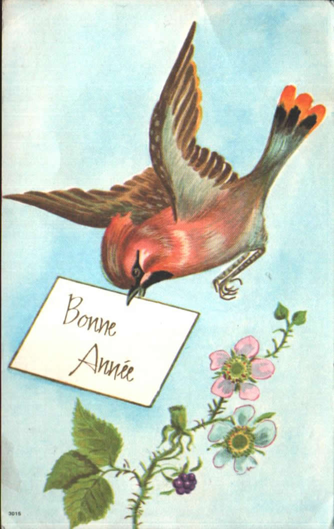 Cartes postales anciennes > CARTES POSTALES > carte postale ancienne > cartes-postales-ancienne.com Nouvelle annee