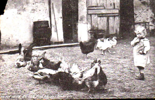 Cartes postales anciennes > CARTES POSTALES > carte postale ancienne > cartes-postales-ancienne.com Animaux